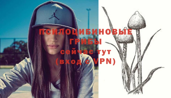 ПСИЛОЦИБИНОВЫЕ ГРИБЫ Медногорск